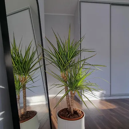 2 Pokoje, Blisko Morza, Ogrodek, Garaz, Kameralne Gdansk Exterior foto